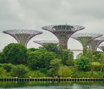 Image Tour